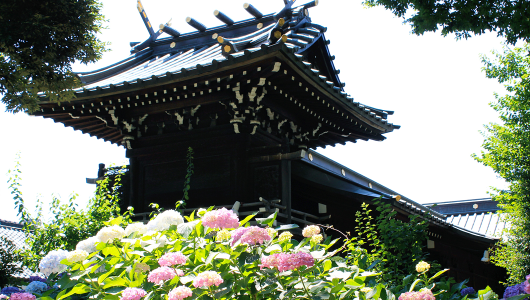 【東京十社めぐり】白山神社＠東京都文京区