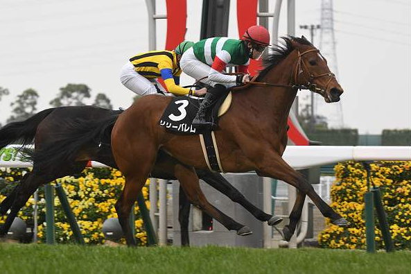 ありがとうリリーバレロ、ありがとう松山騎手