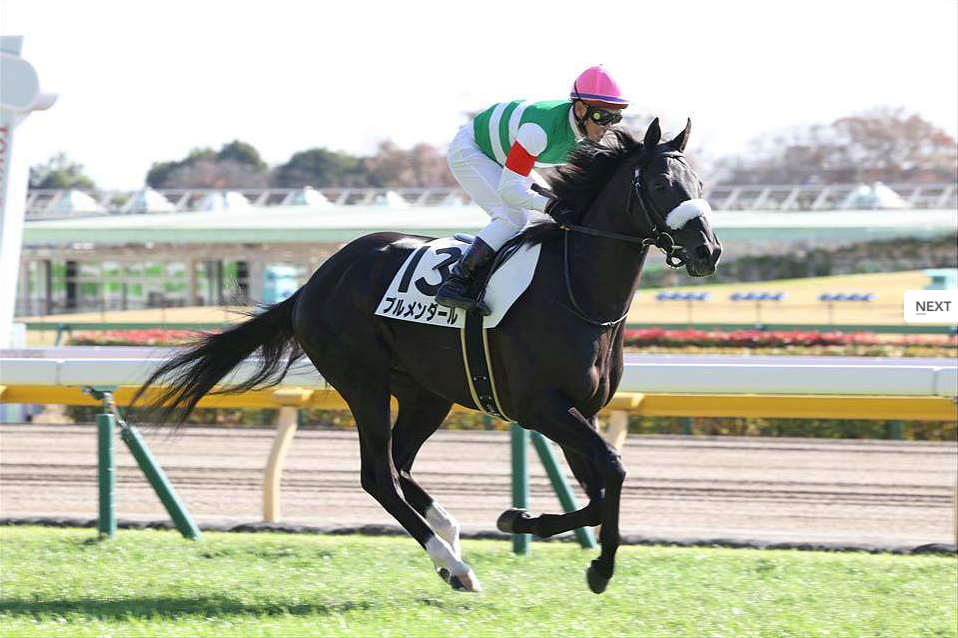 【キャロットクラブ】歴代の出資馬回顧録（2016年～2019年産駒）