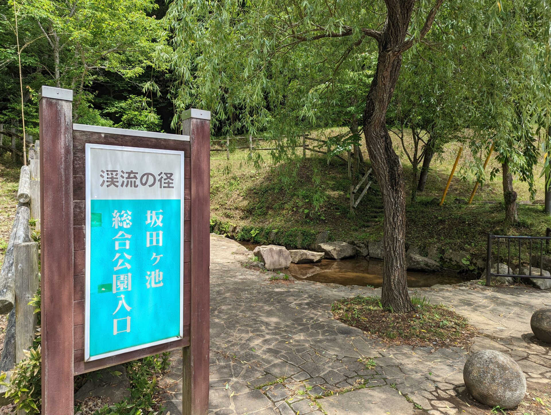 【坂田ヶ池総合公園】成田にみつけた、癒しの総合公園