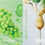 Dr.VAPE（ドクターベイプ）純正カートリッジに、他社製品リキッドを淹れる方法