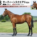 【キャロット祭り2025】出資申し込みと結果について