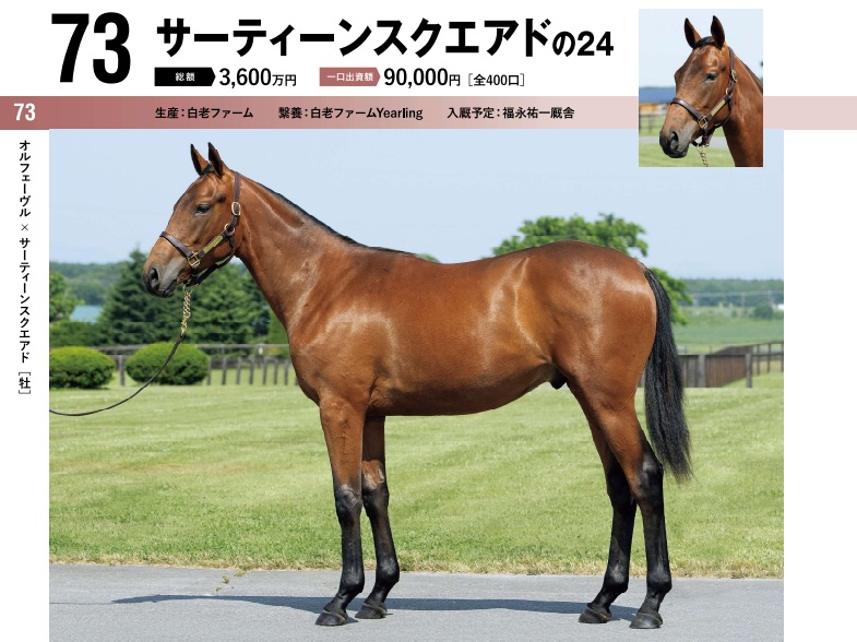【キャロット祭り2025】出資申し込みと結果について