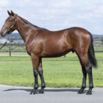 【キャロットクラブ】出資馬の更新