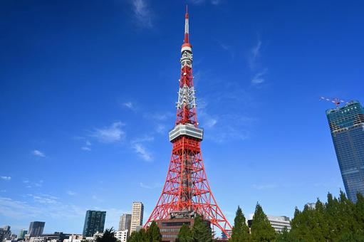 リハビリツーリング（仮）