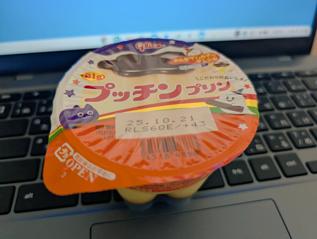 背徳のプッチンプリン